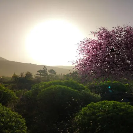 Appartement Familiar Con Gran Terraza Y Vistas Al Mar *