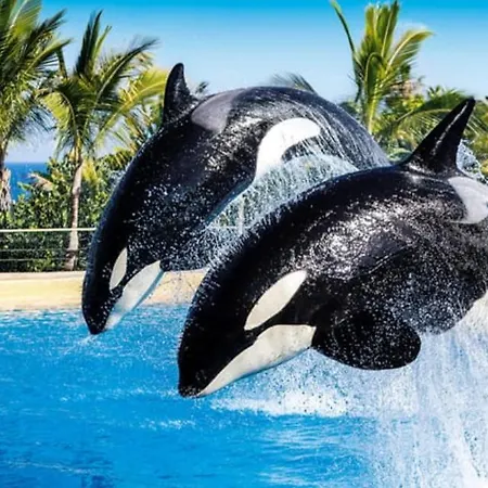 Familiar Con Gran Terraza Y Vistas Al Mar Appartement